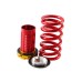 Kit de molas reguláveis (coilover) para Honda Civic EG/EK